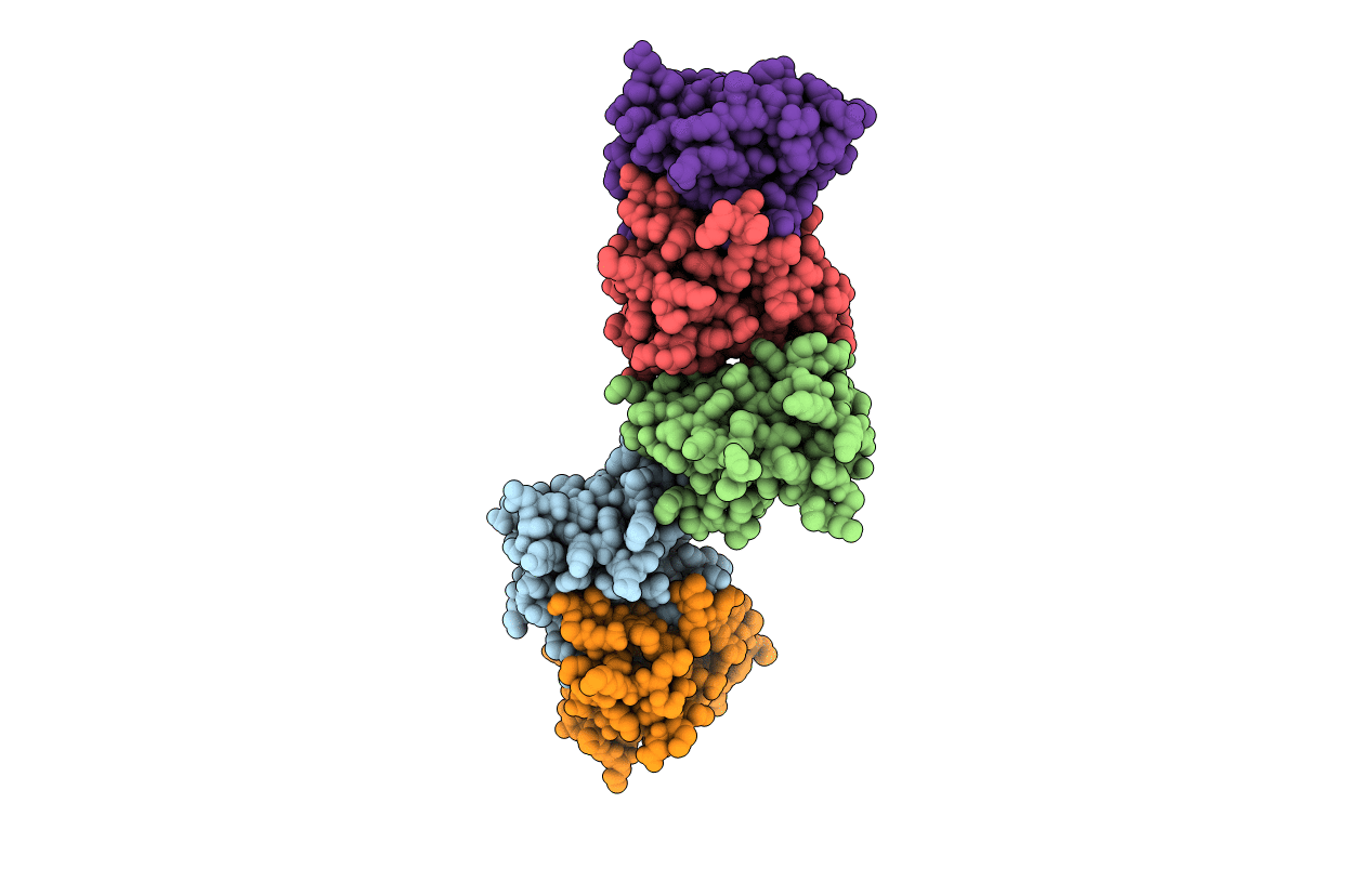 2QHL image