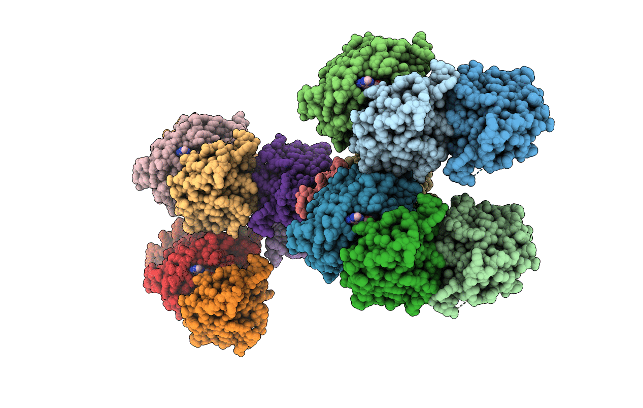 2QL6 image