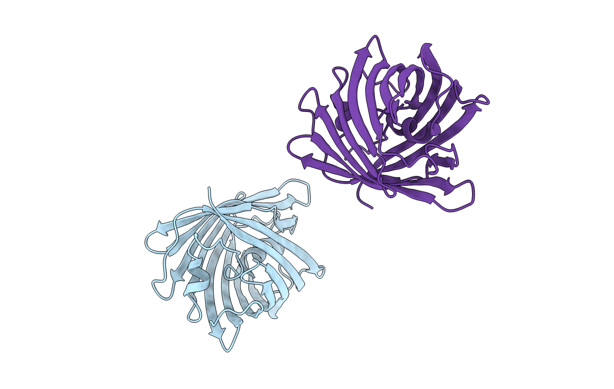 2QLI image