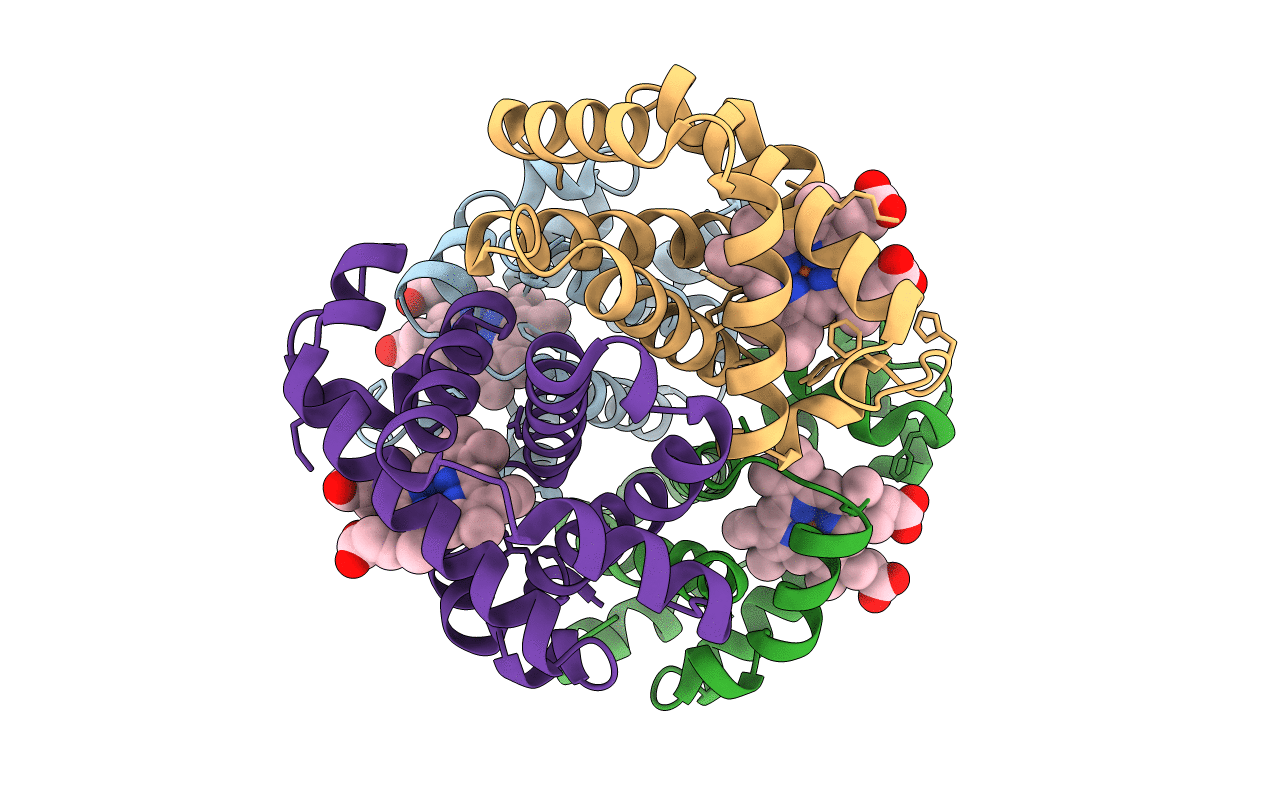 2QLS image