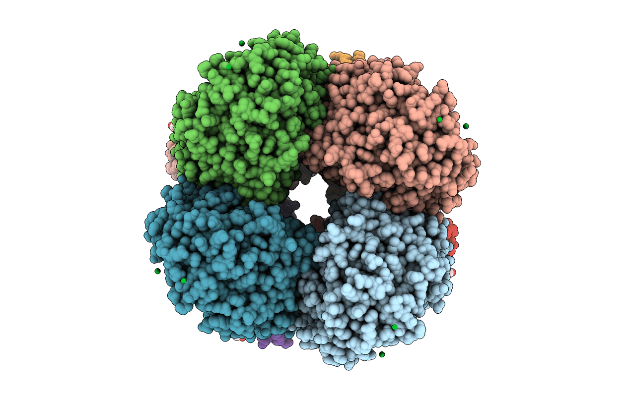 2QMI image