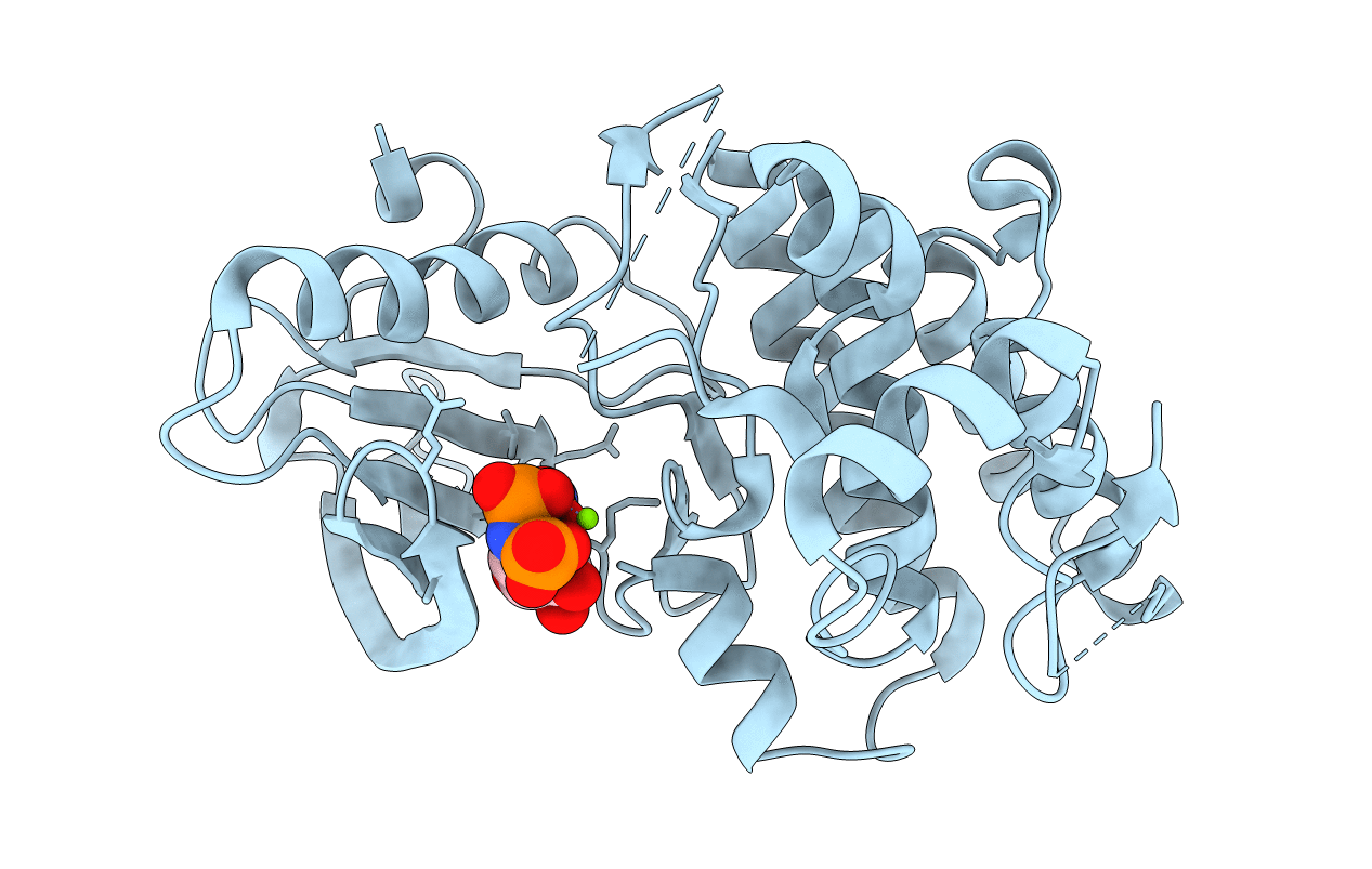 2QO9 image