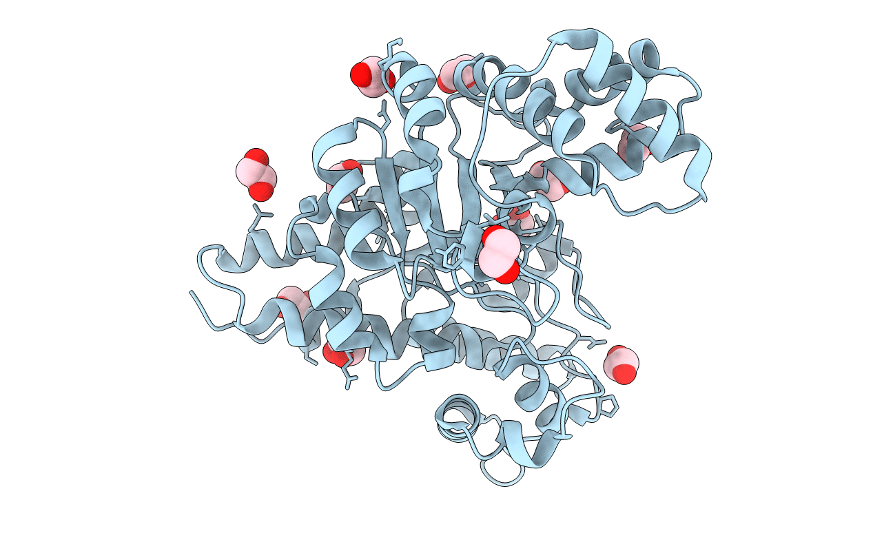 2QPX image