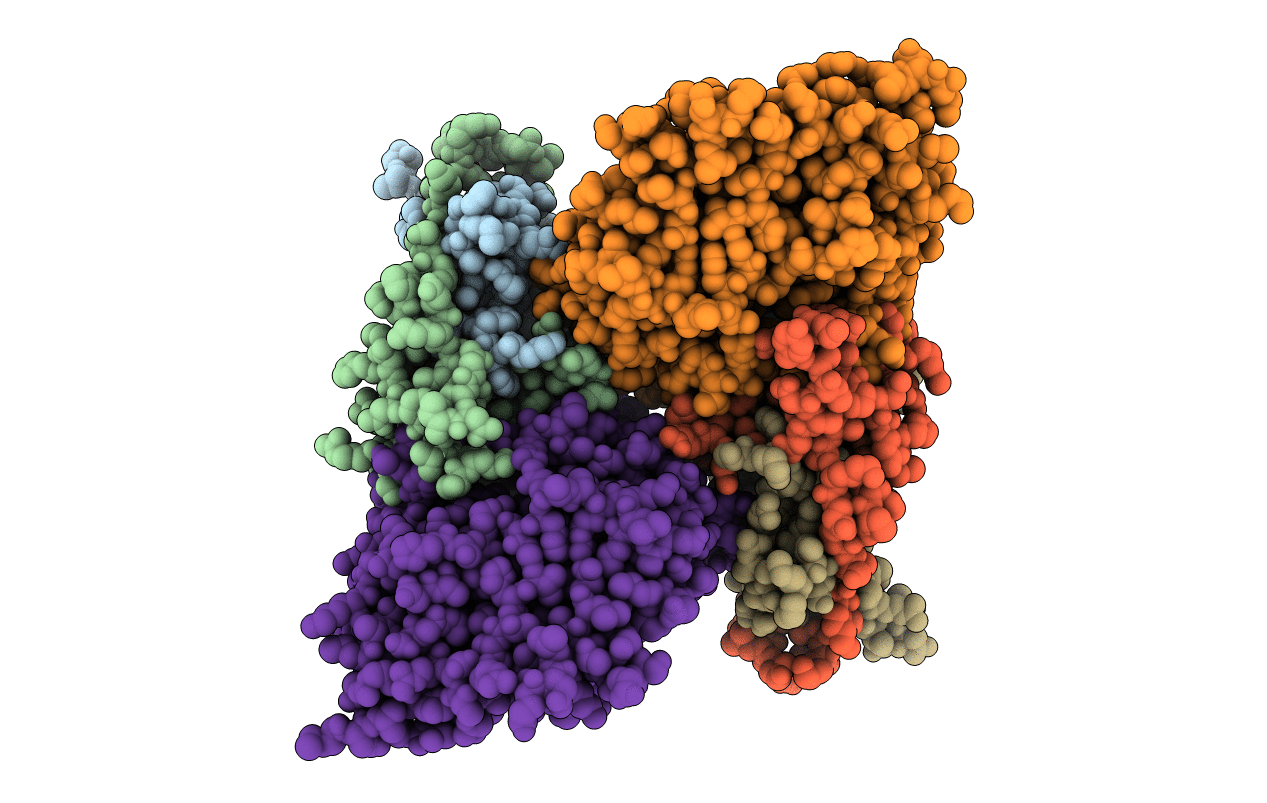 2QRE image