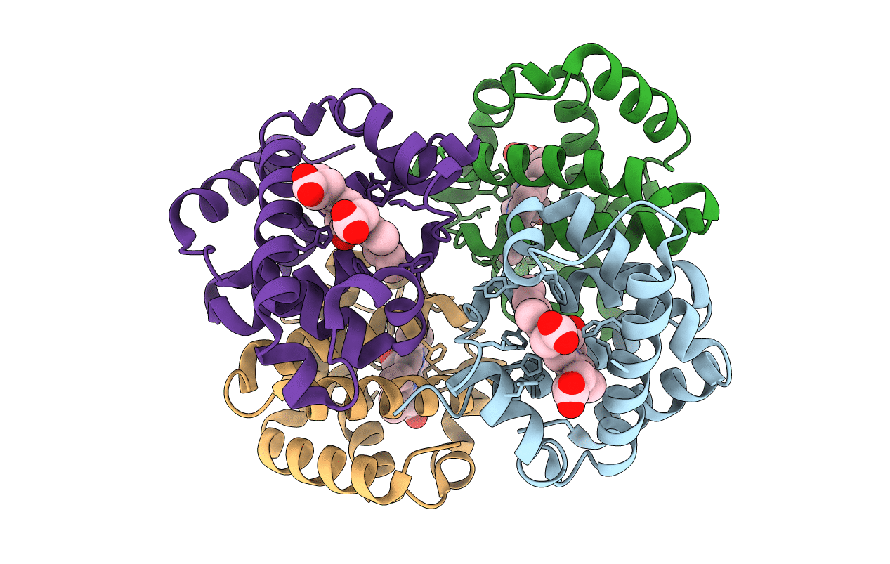 2QSS image
