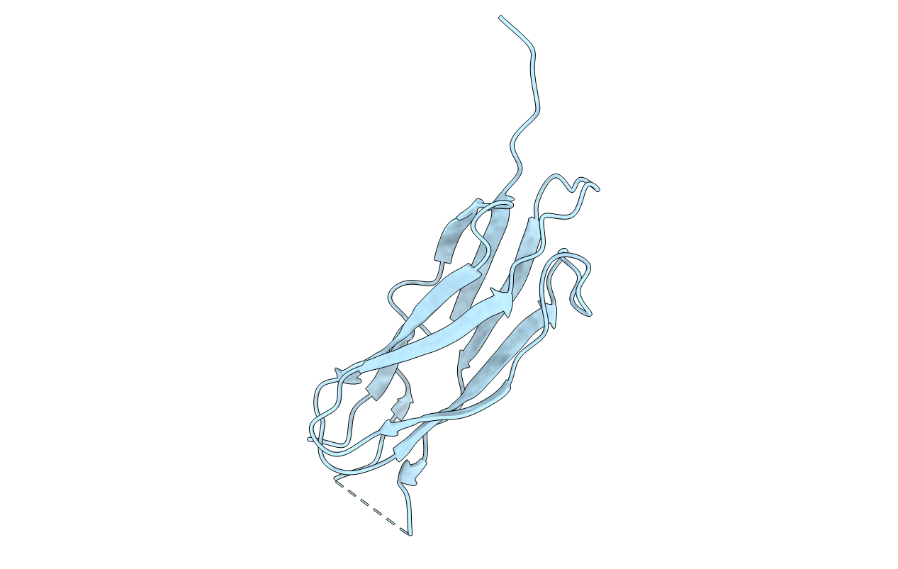 2QVK image