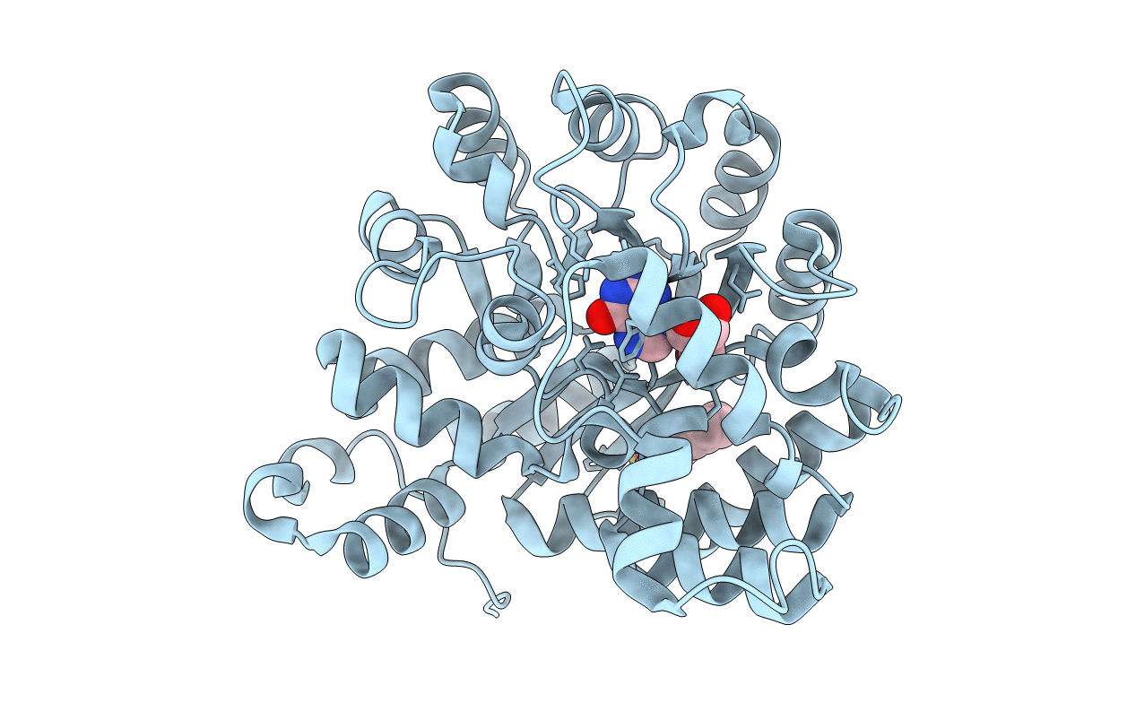 2QVN image