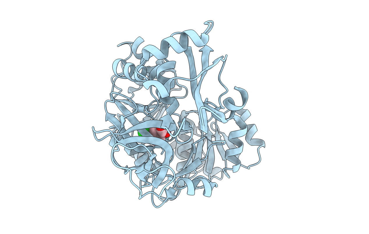 2QVX image