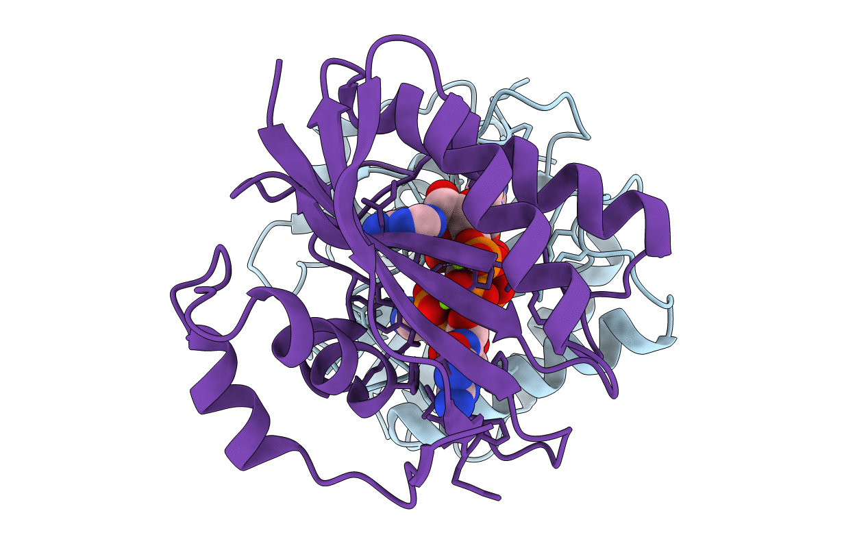 2QX0 image