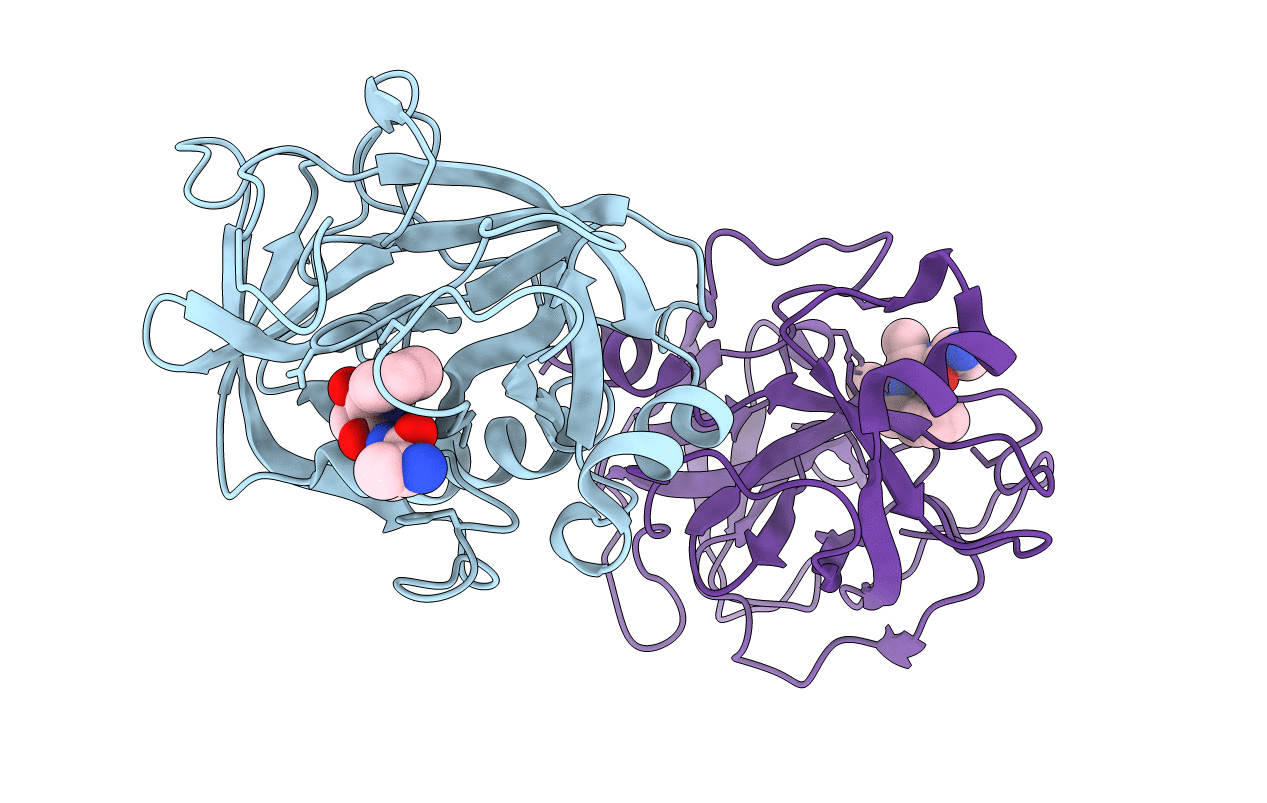 2QXG image