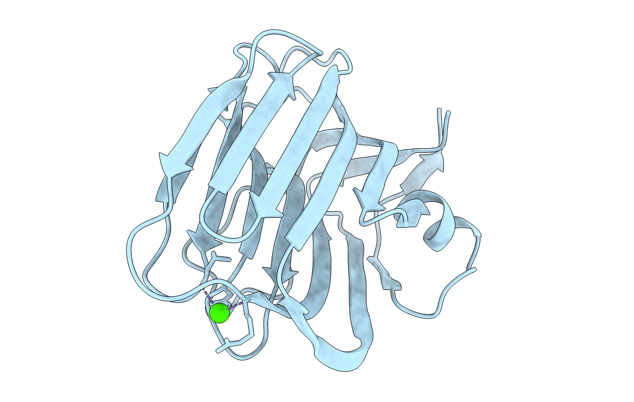 2R16 image