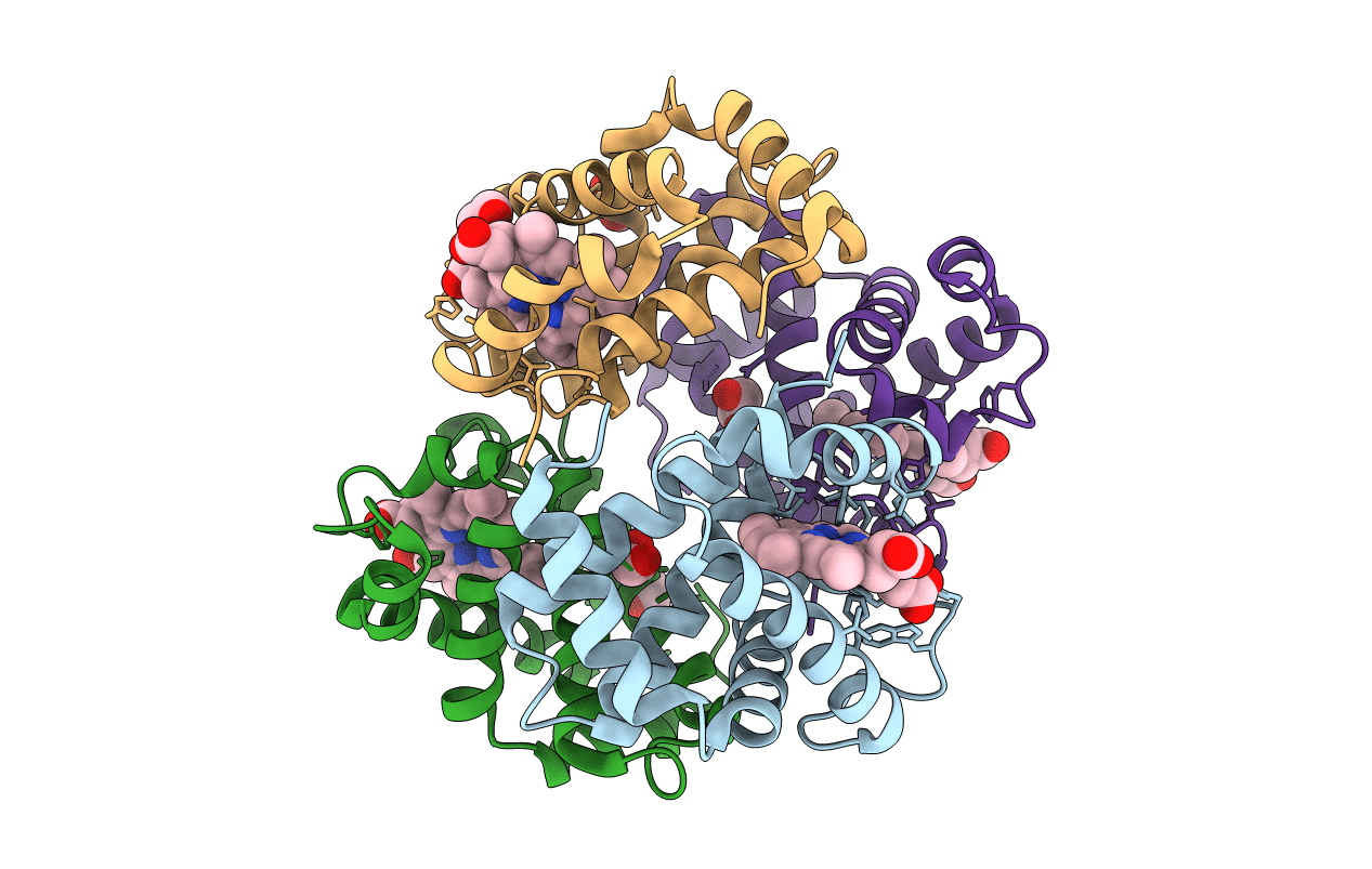 2R1H image