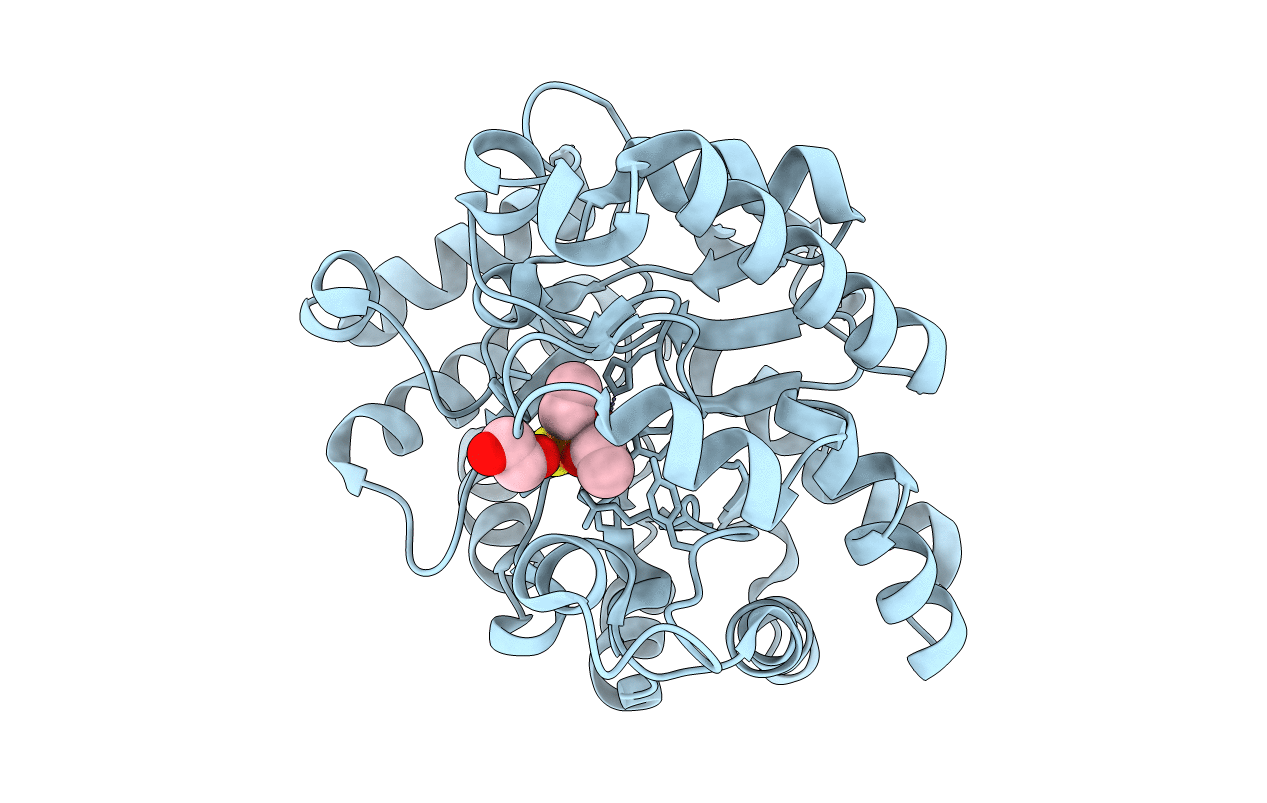 2R1L image