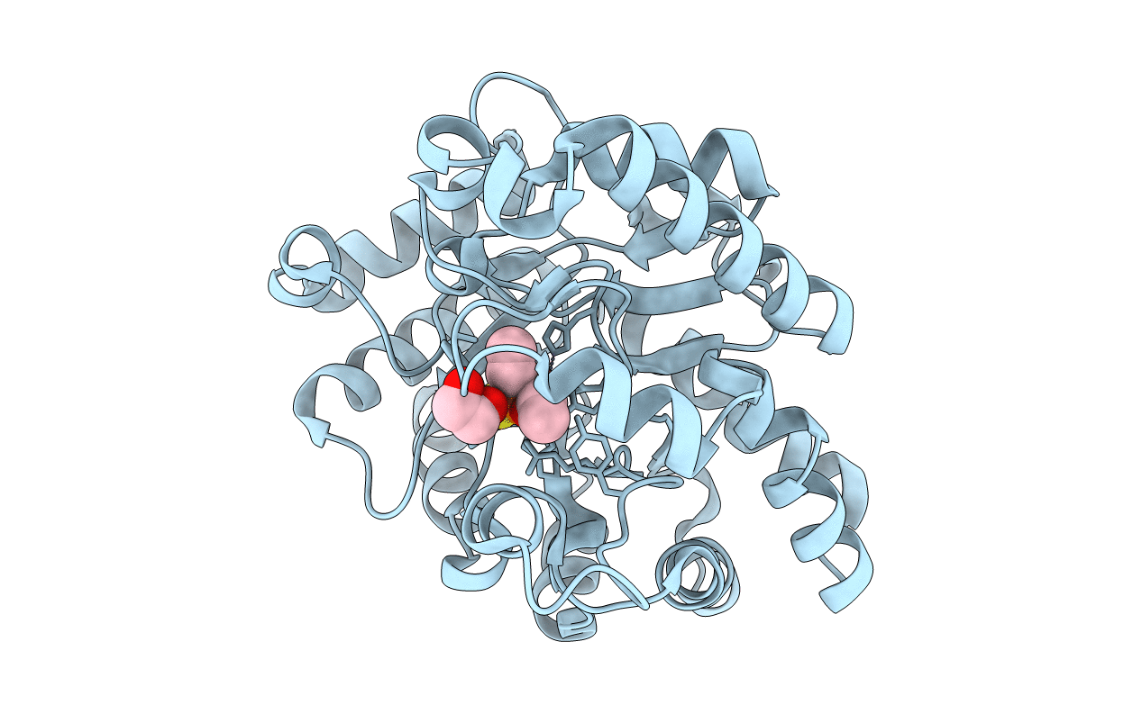 2R1P image