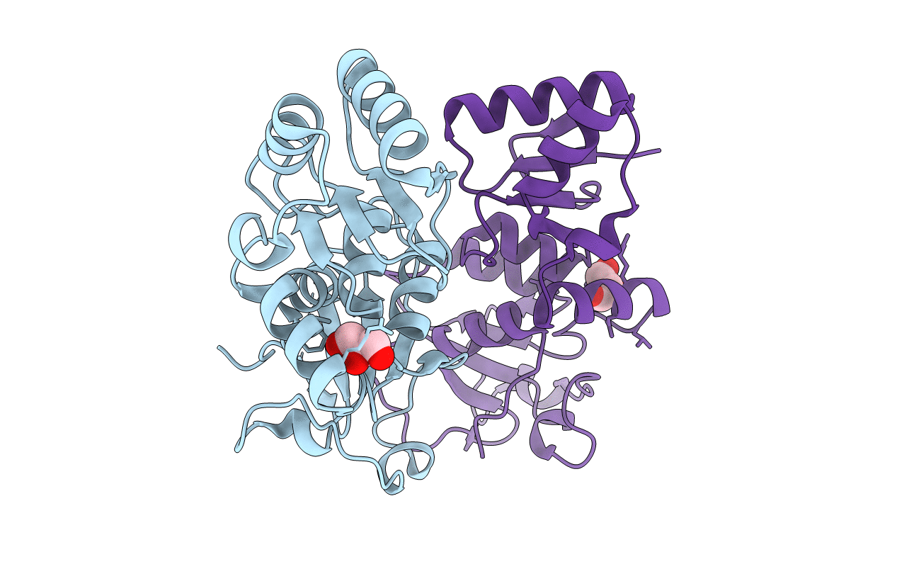 2r1z image