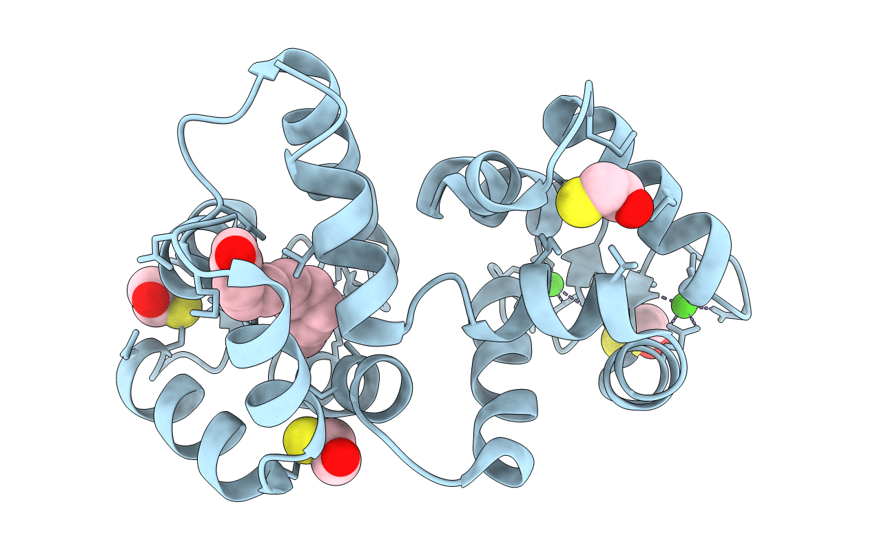 2R2I image