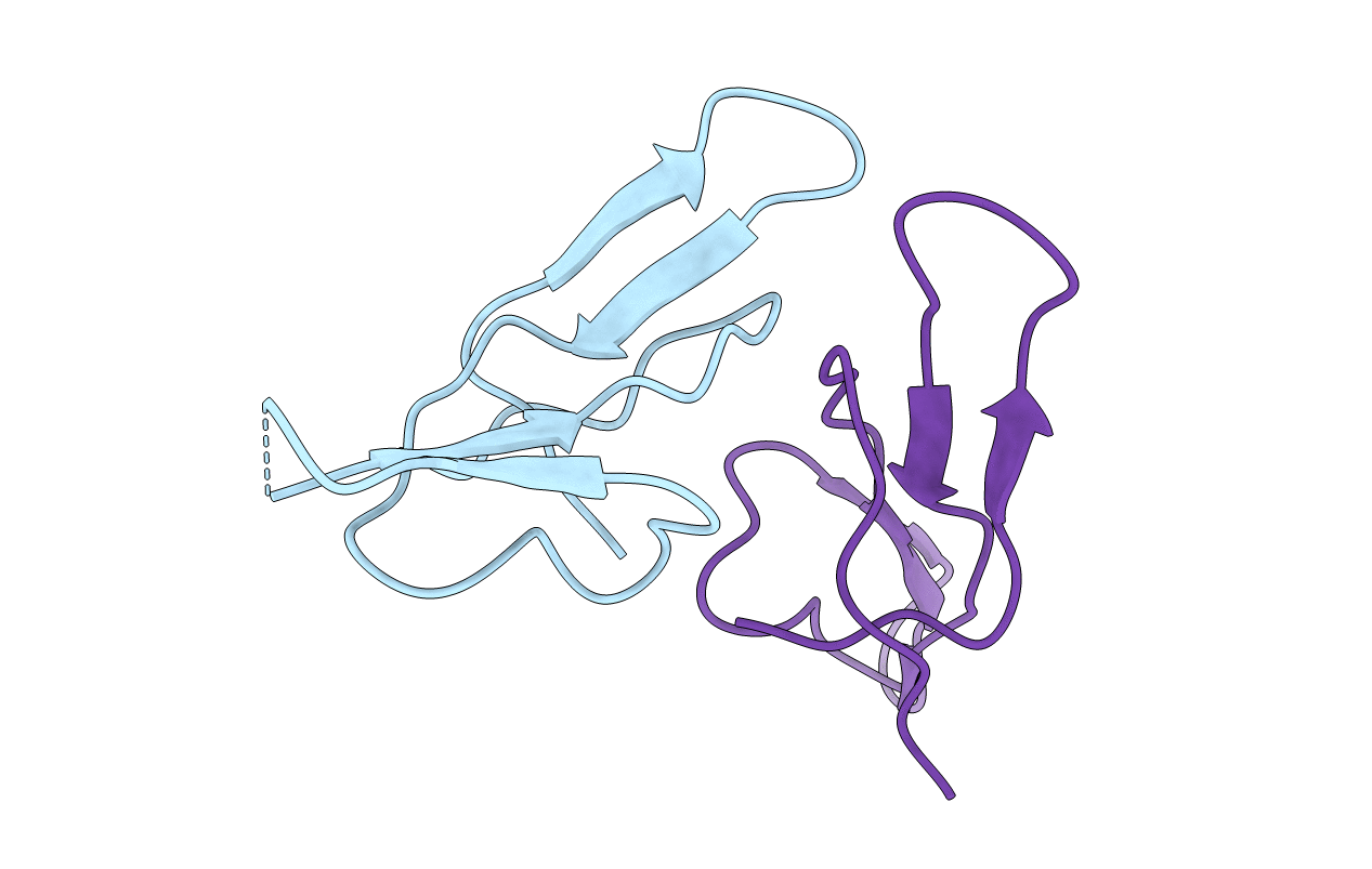 2R33 image