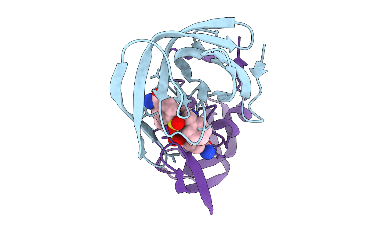 2R38 image