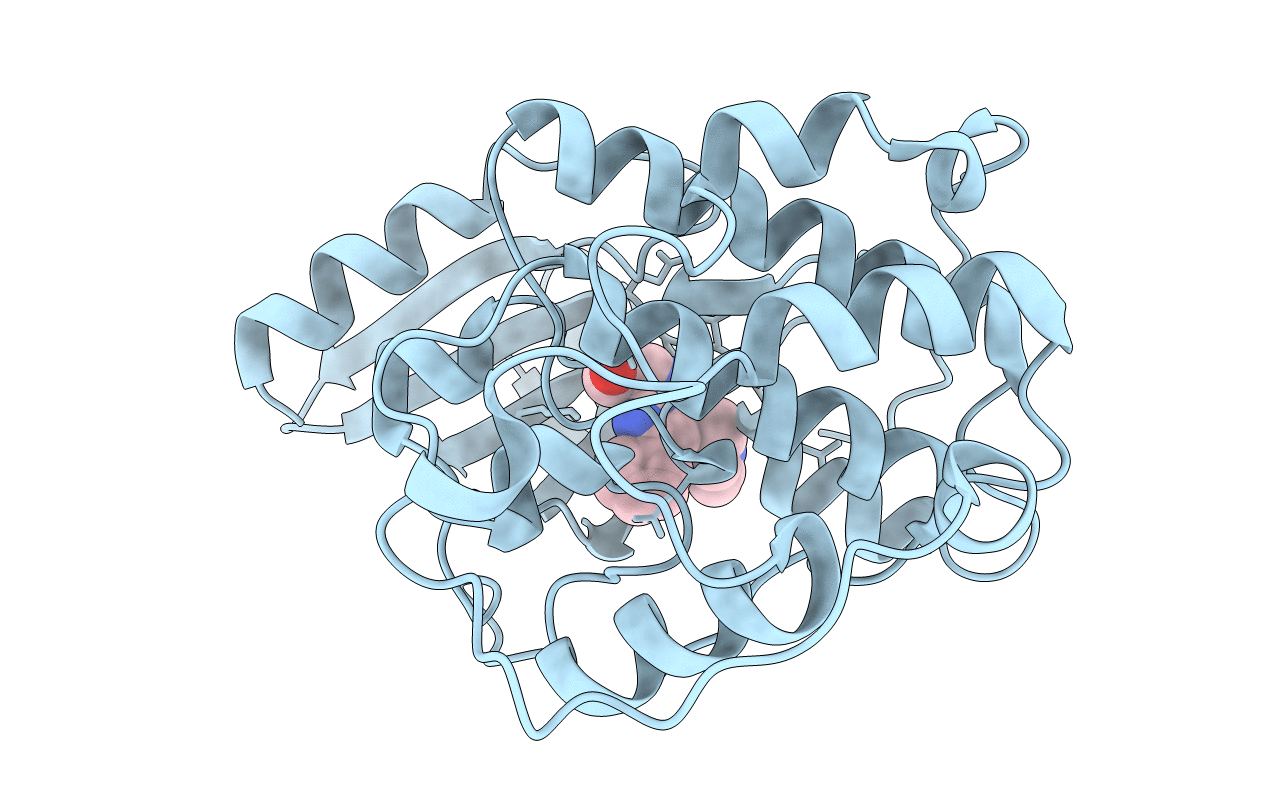 2R3O image