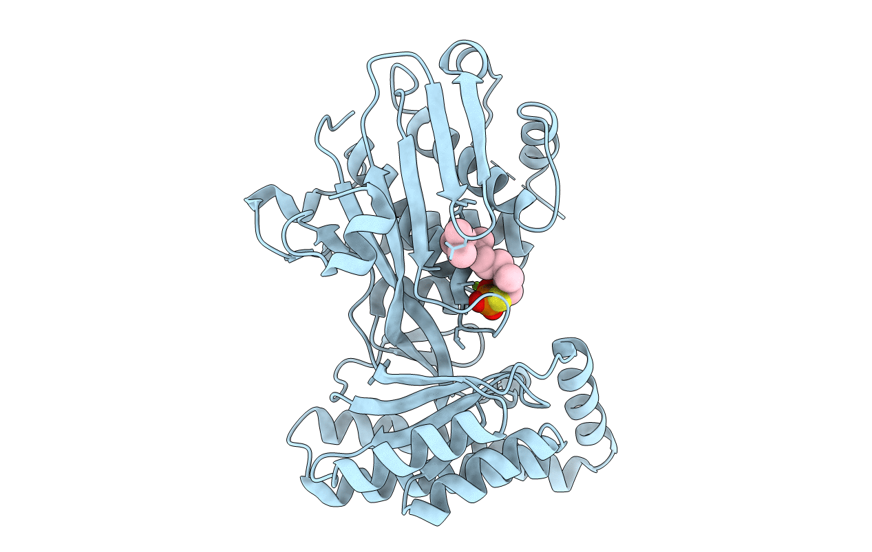 2R42 image