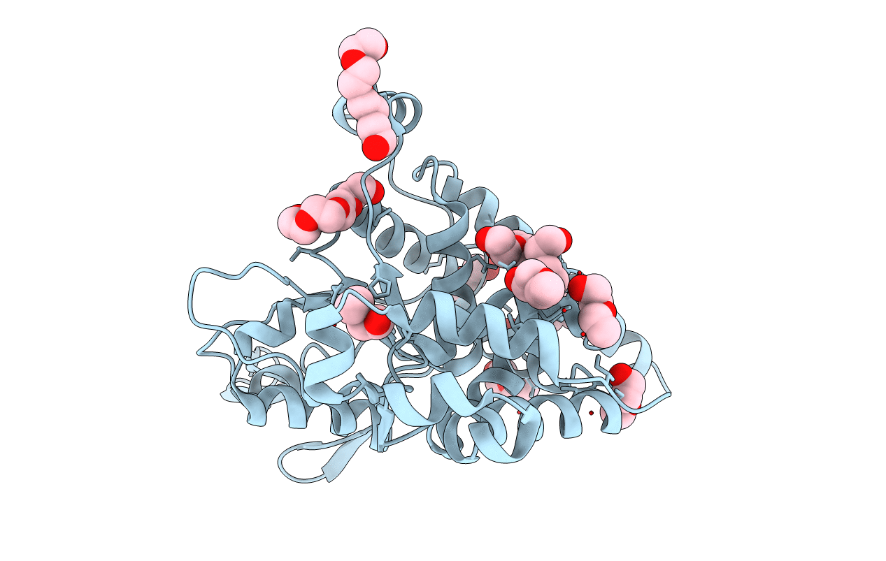 2R44 image