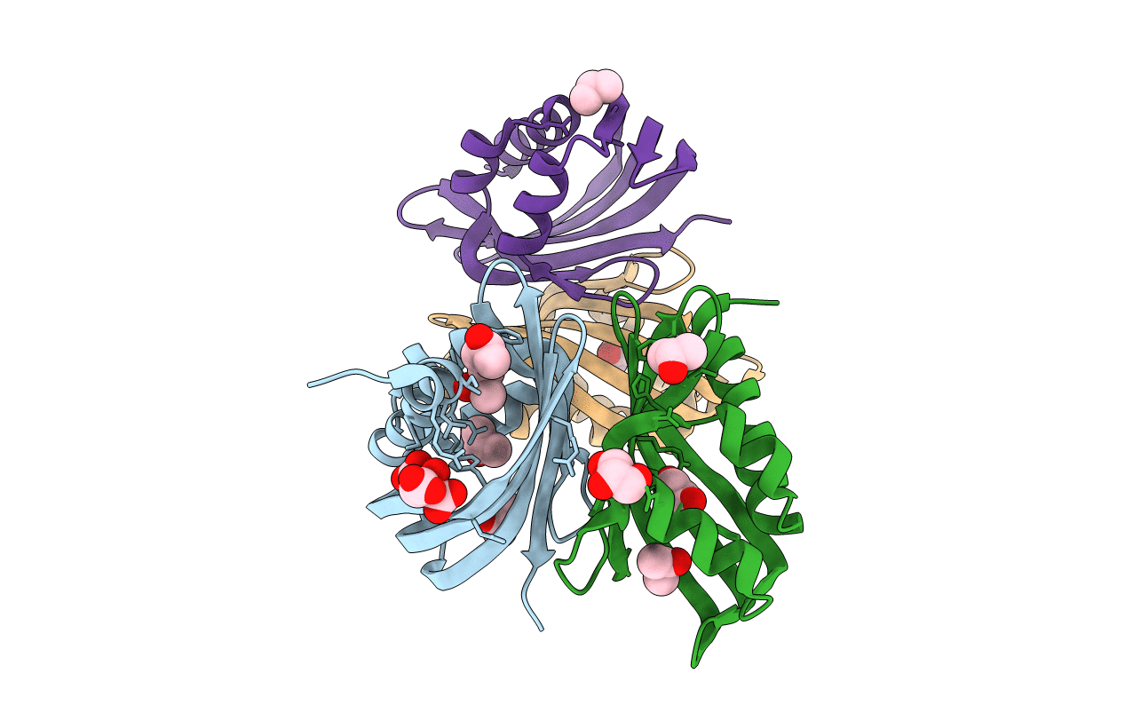 2R4I image
