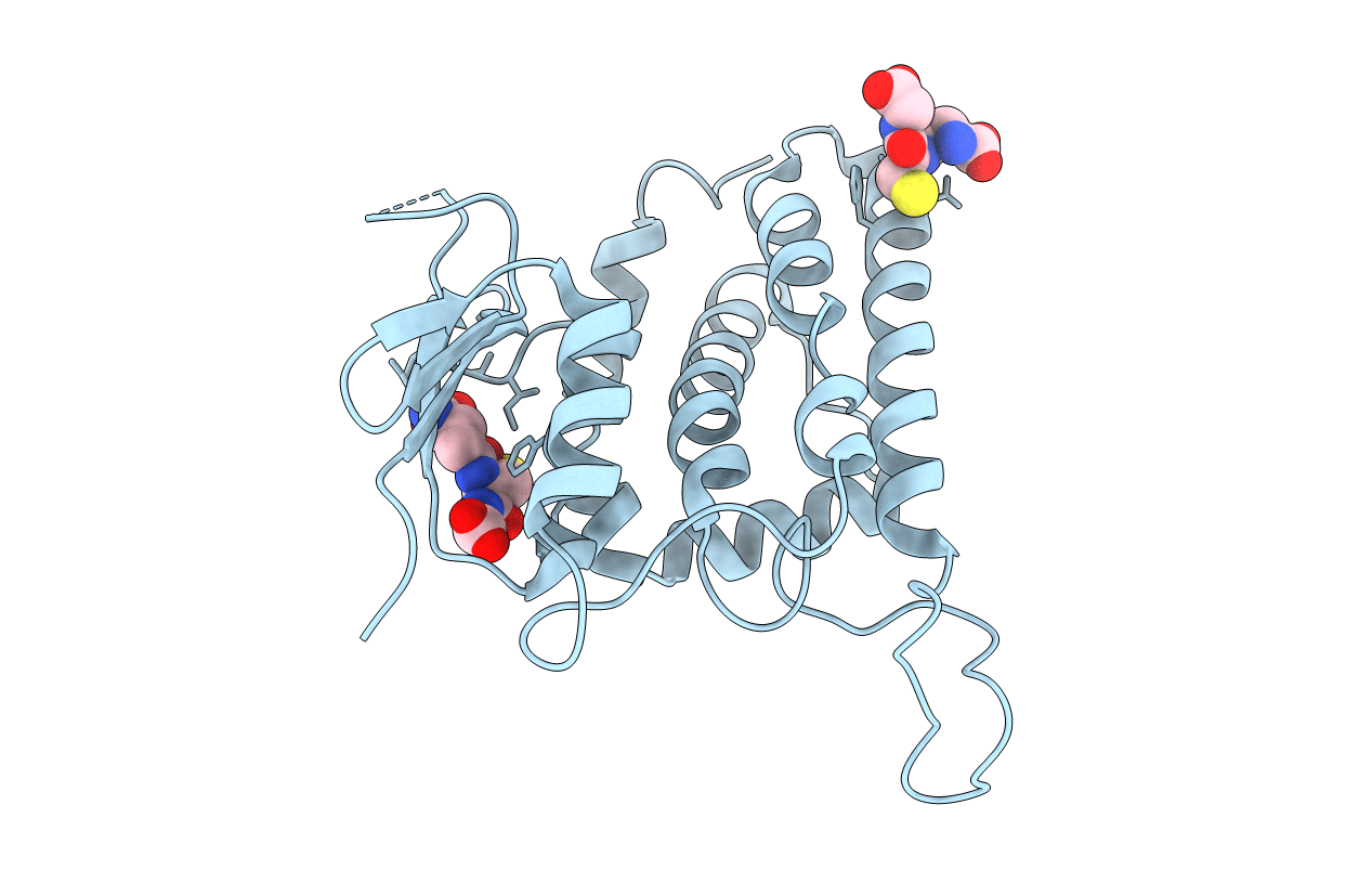 2R4V image