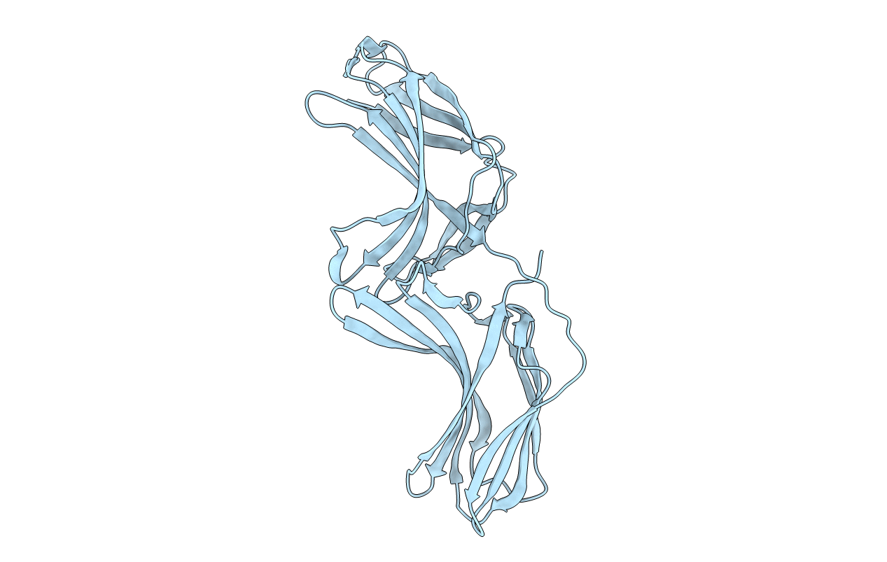 2R51 image