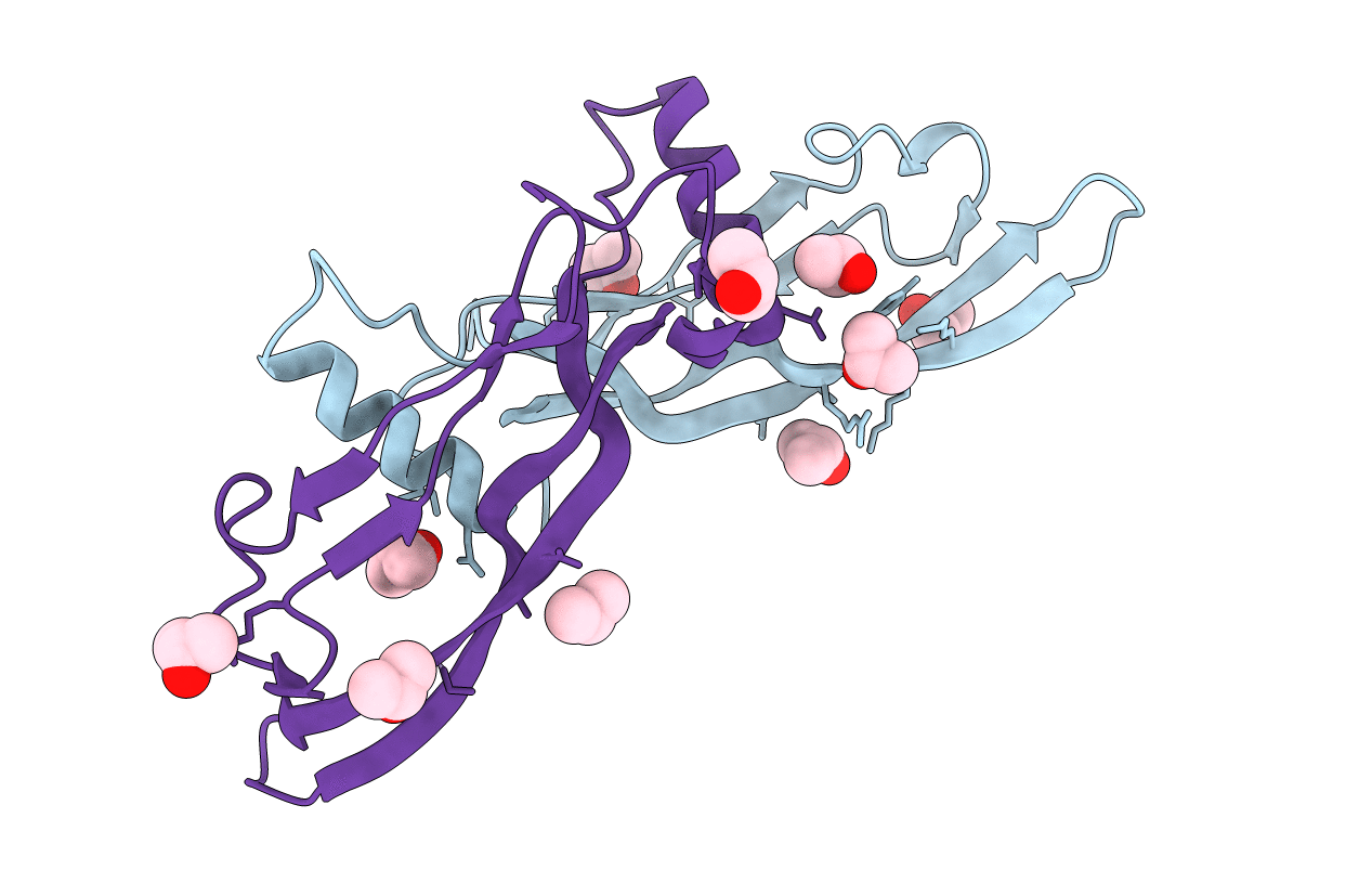 2R52 image