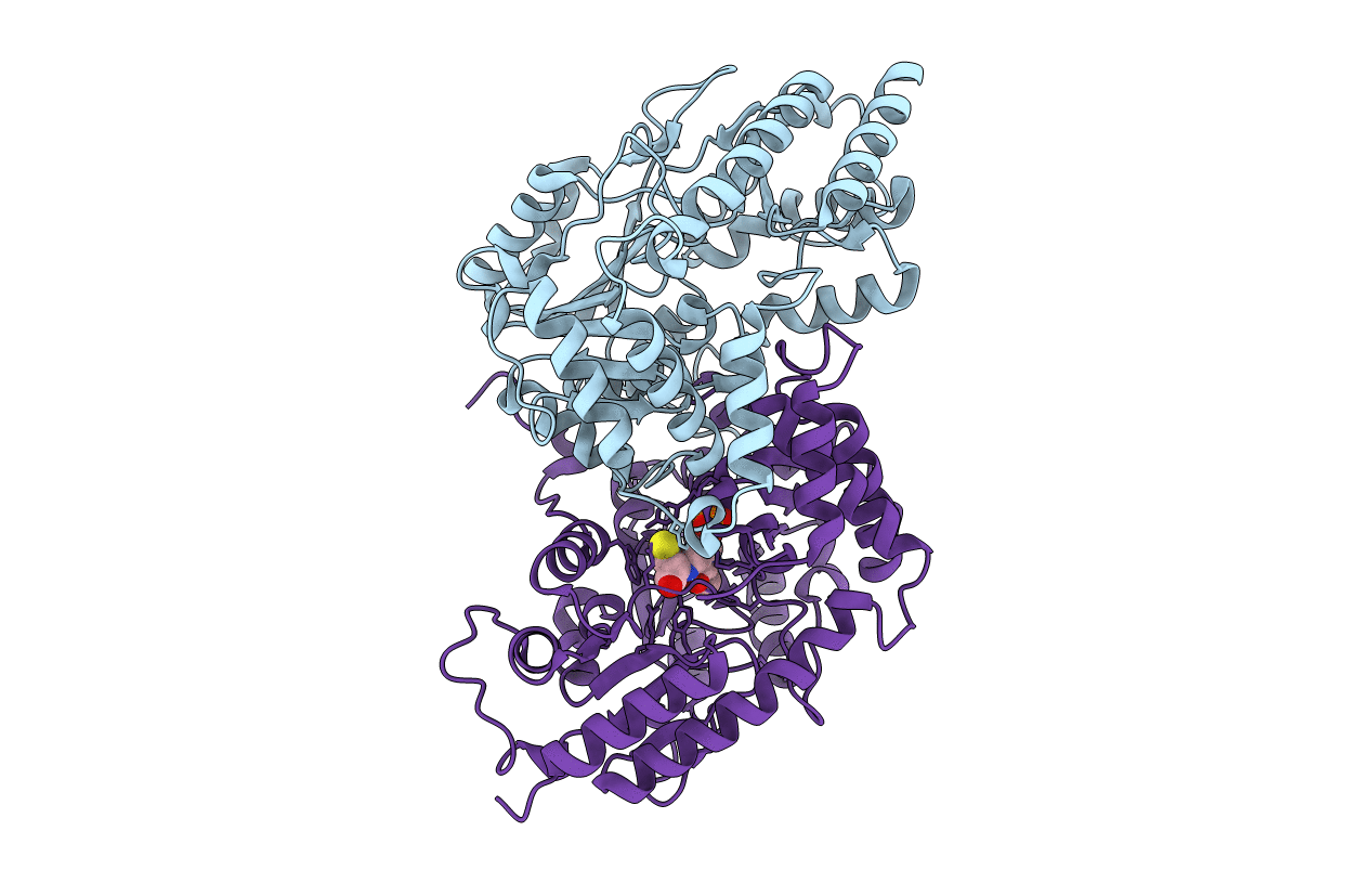 2R5C image