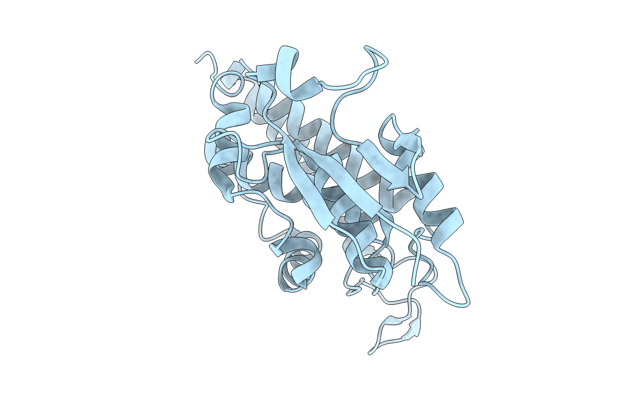 2R5G image