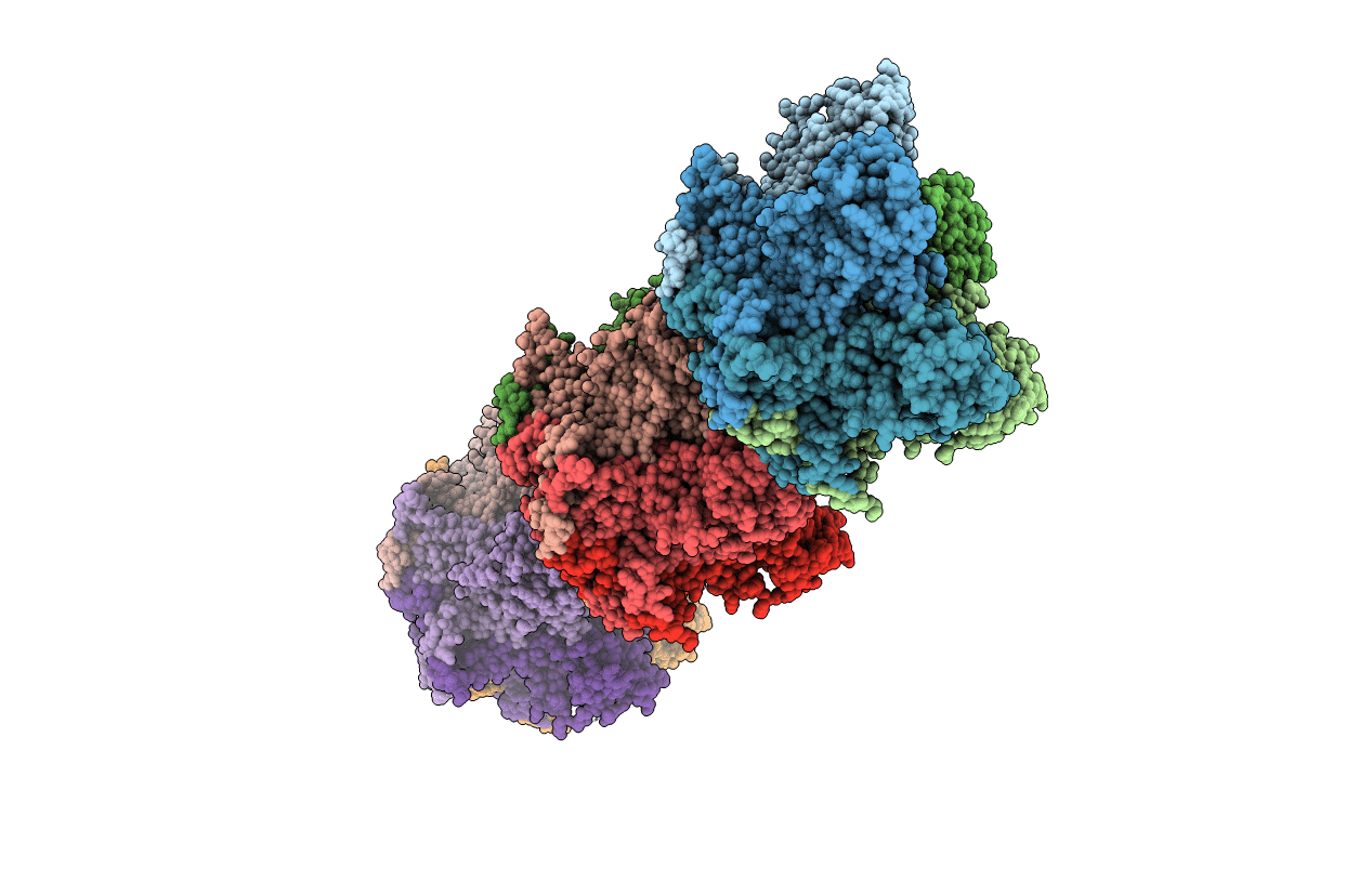 2R5I image