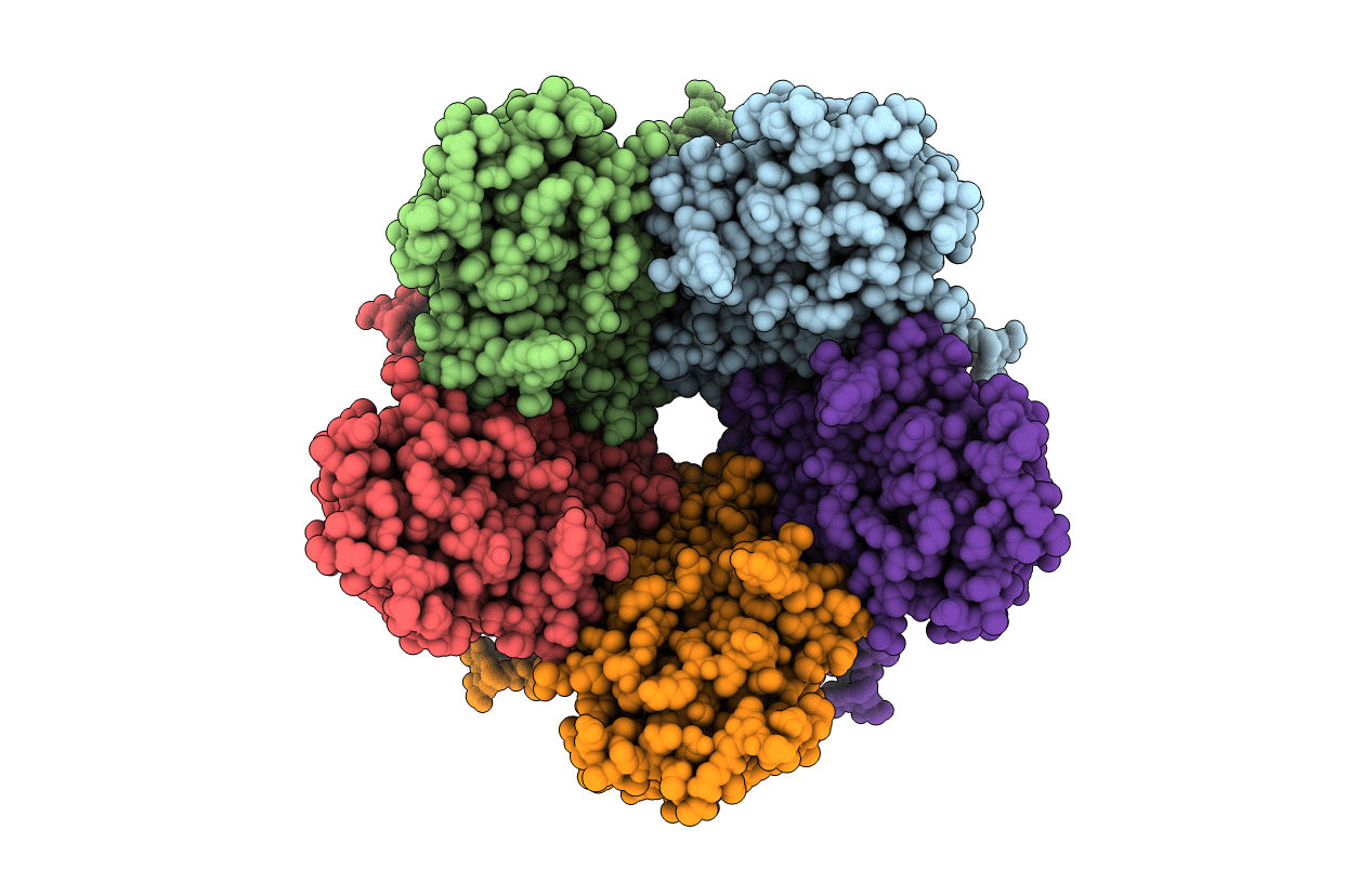 2R5K image