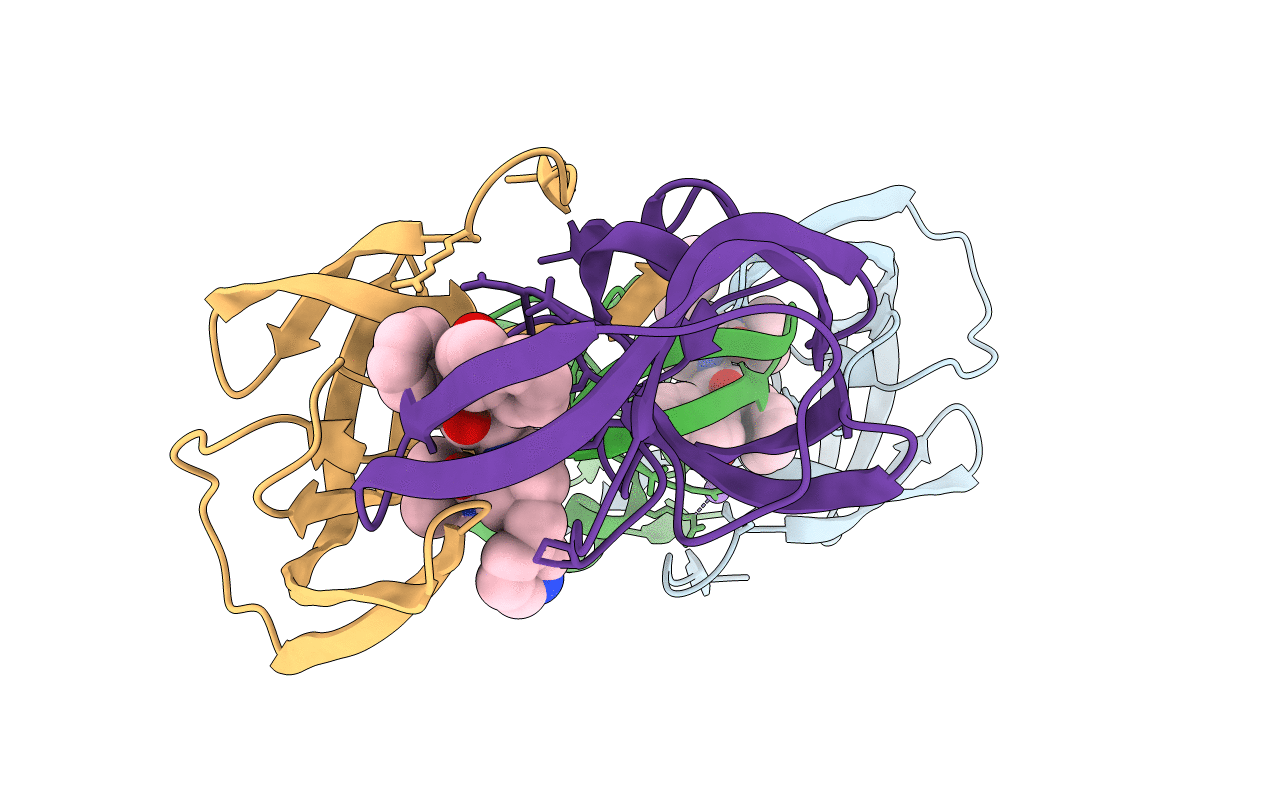 2R5P image