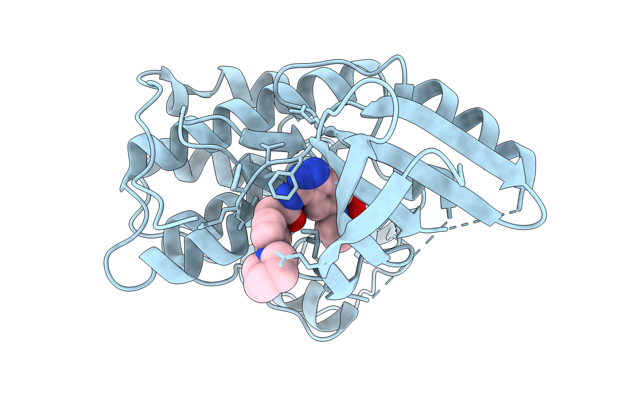 2R64 image