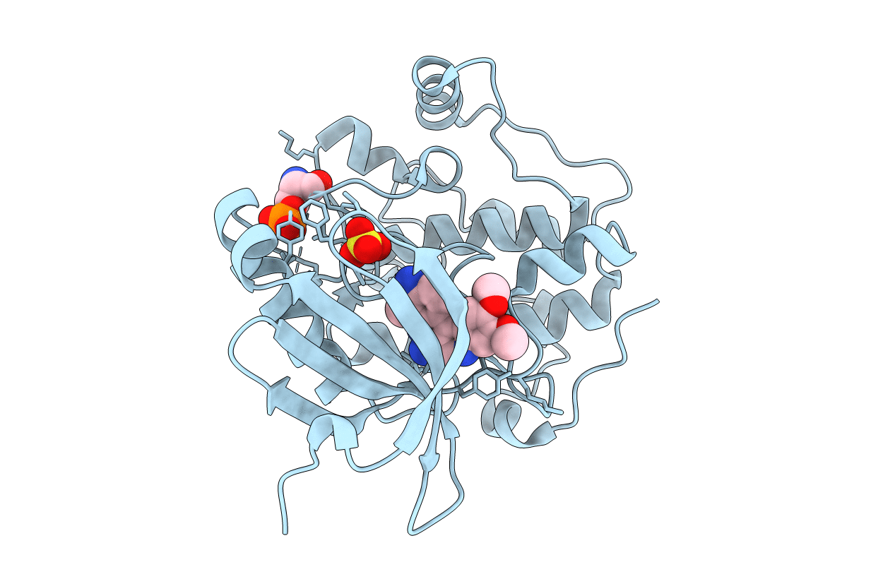 2R7B image
