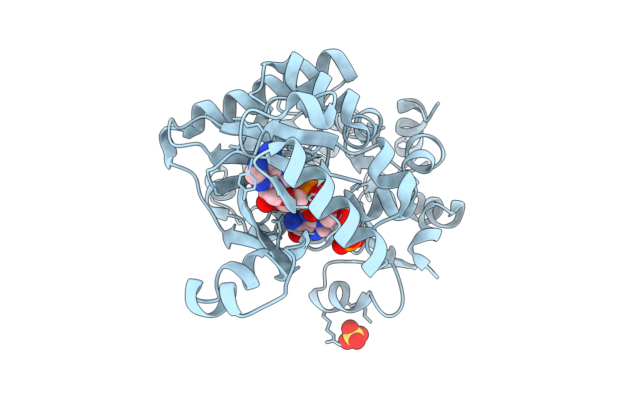 2R7L image