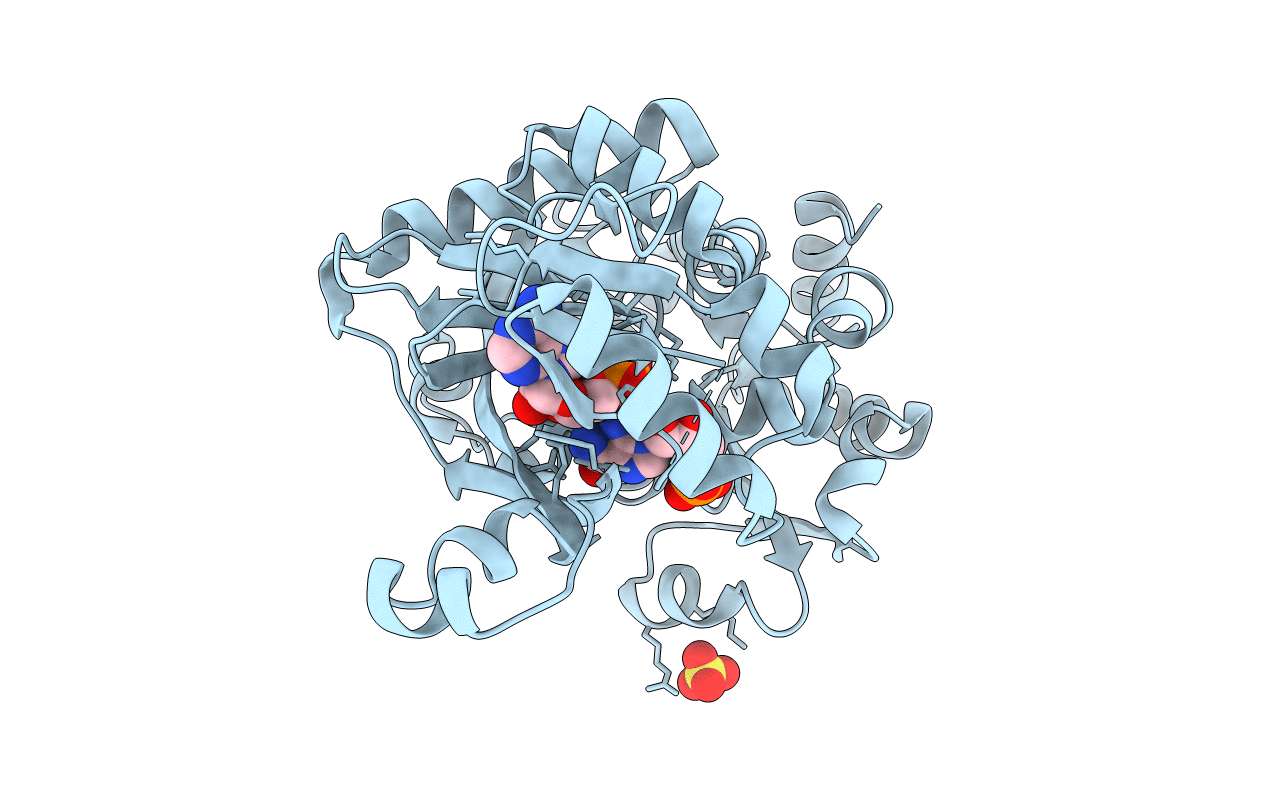 2R7N image
