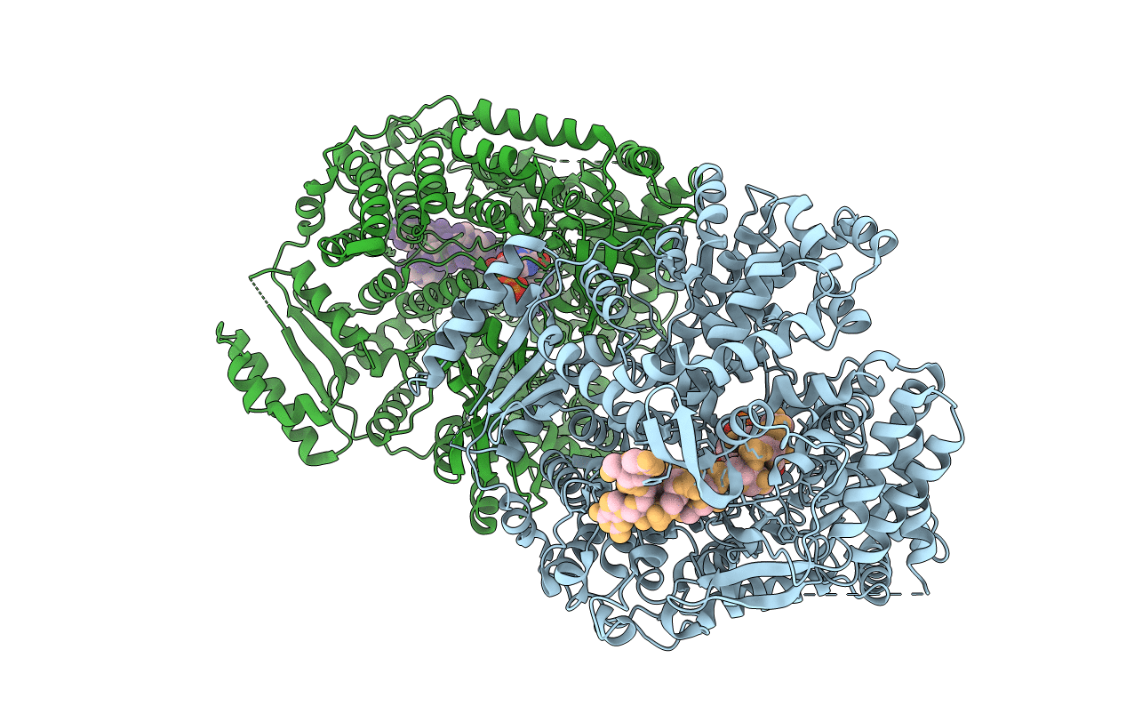 2R7X image