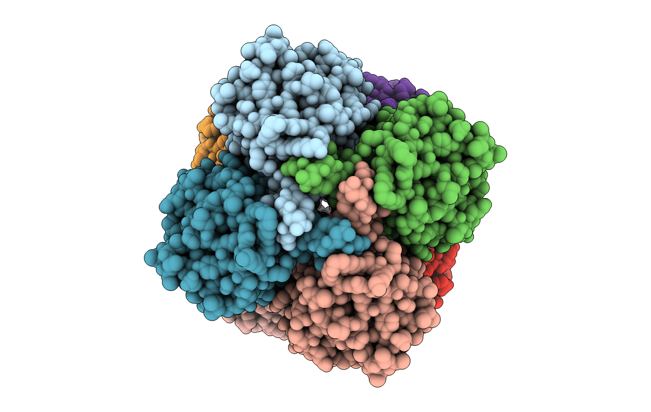 2R8E image