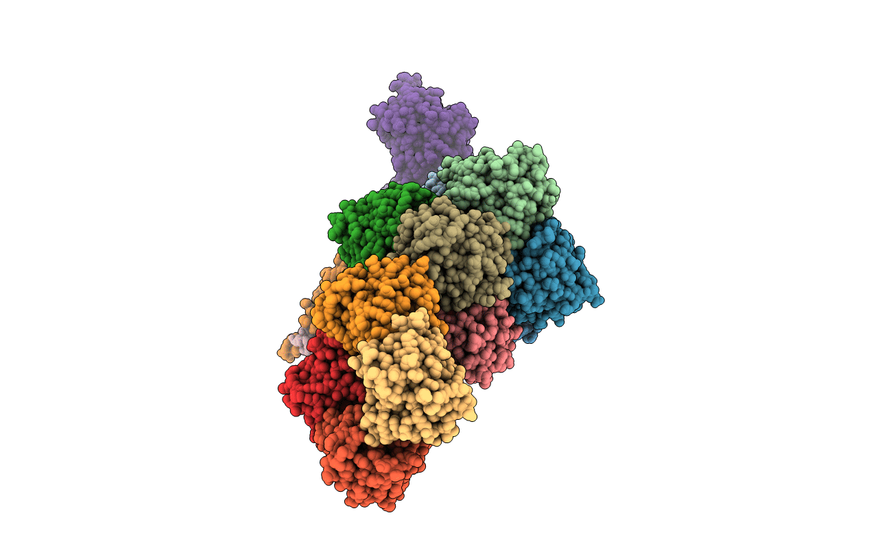 2R8Z image