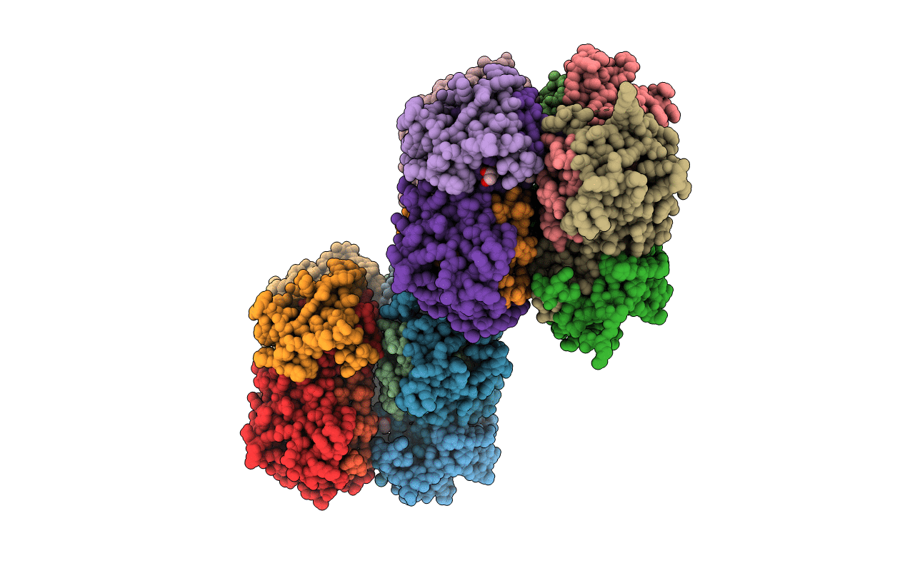 2R9G image