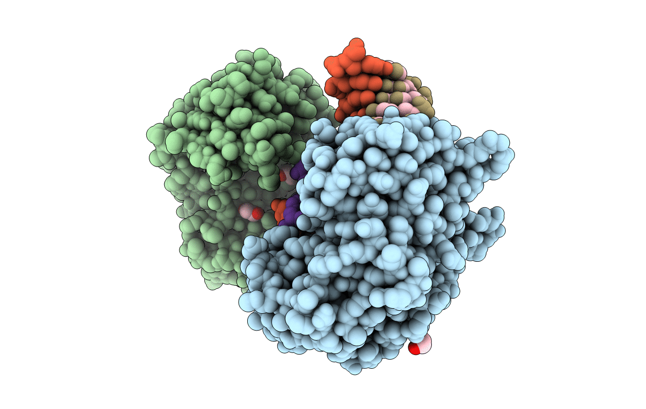 2R9L image