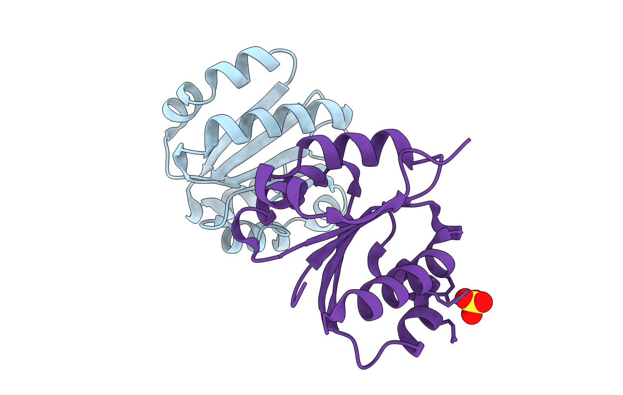 2RBG image