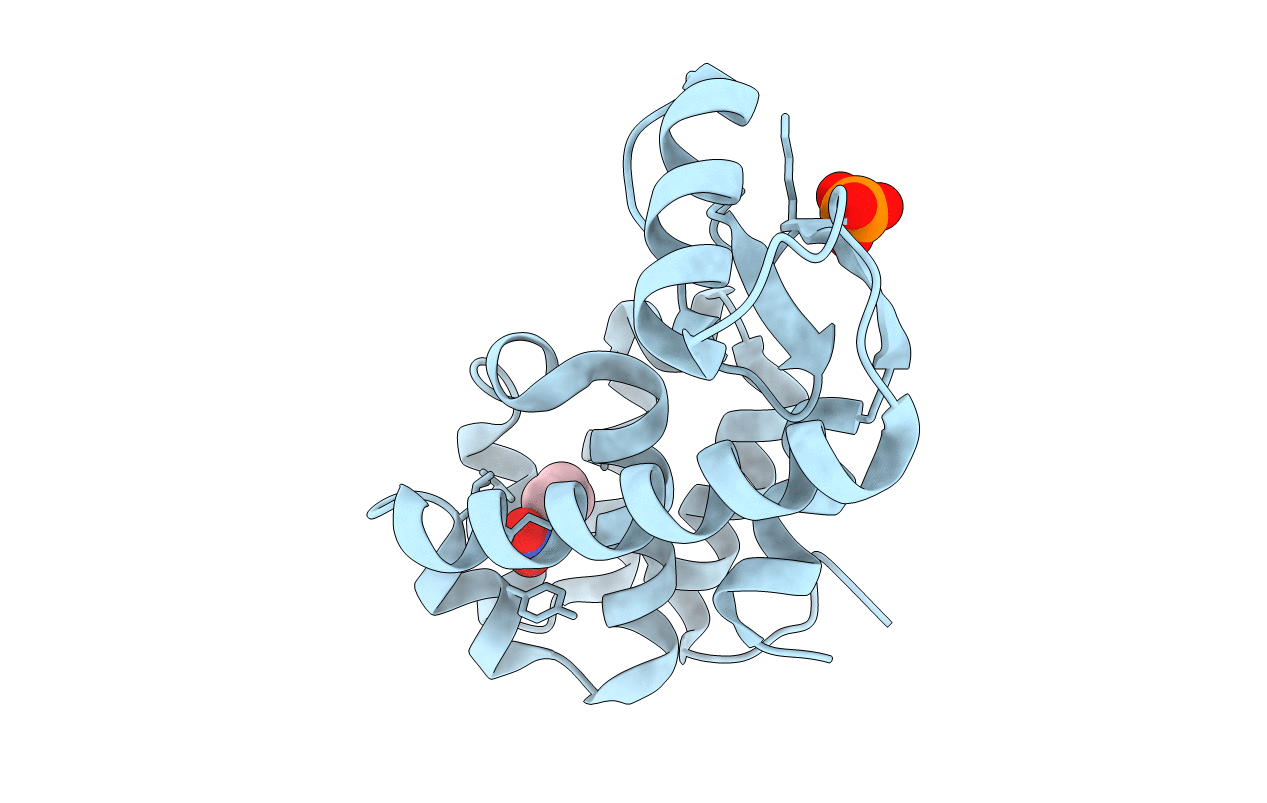 2RBO image