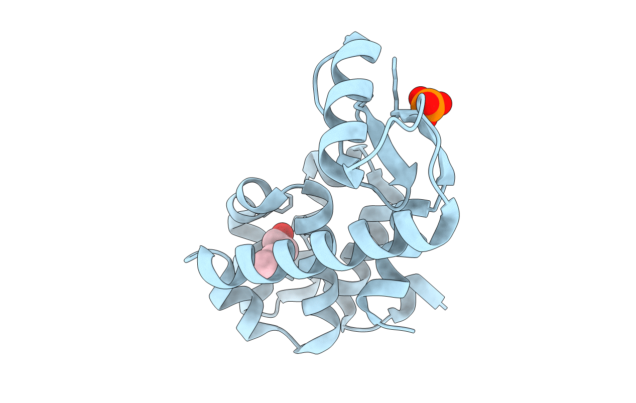 2RBP image