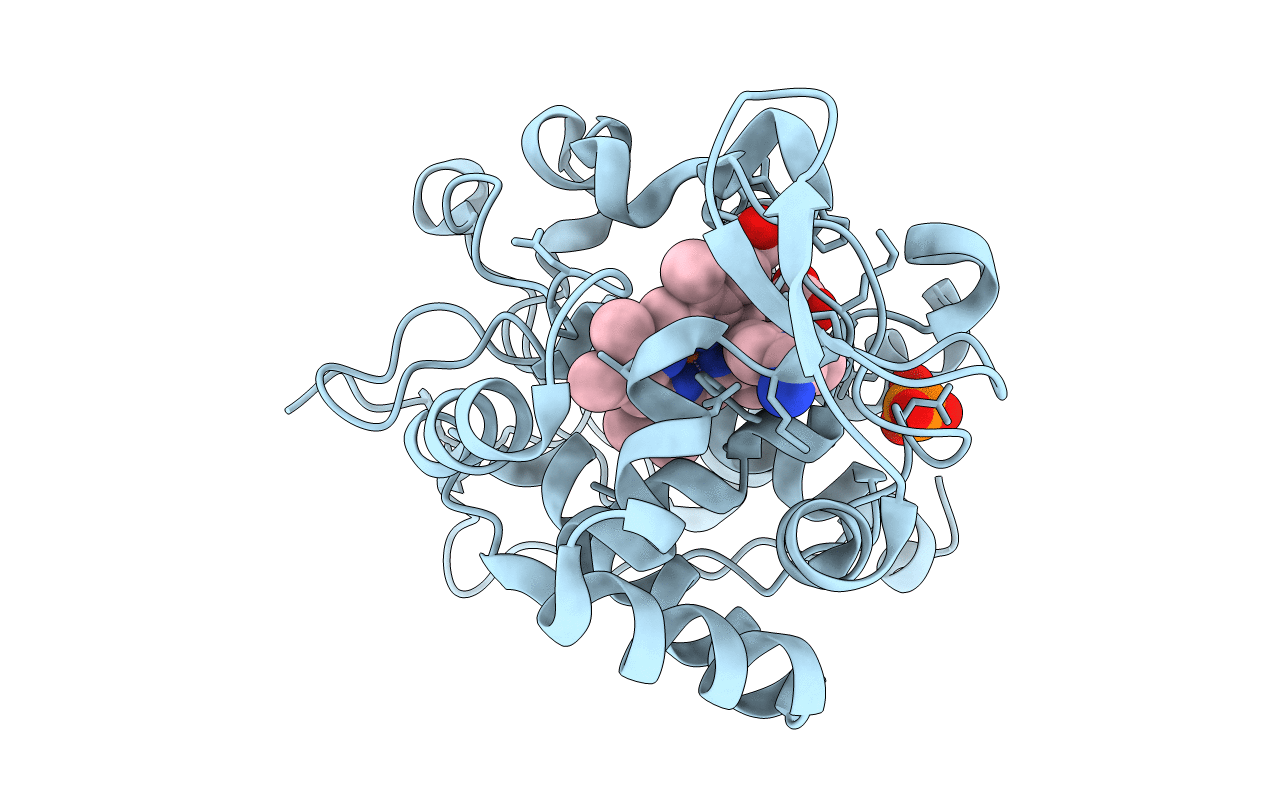 2RBV image