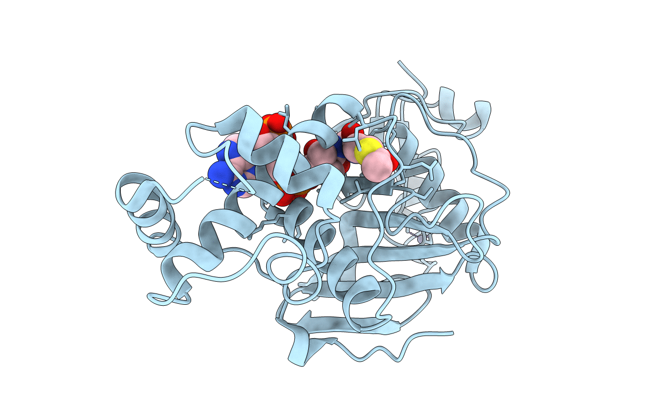 2RC4 image