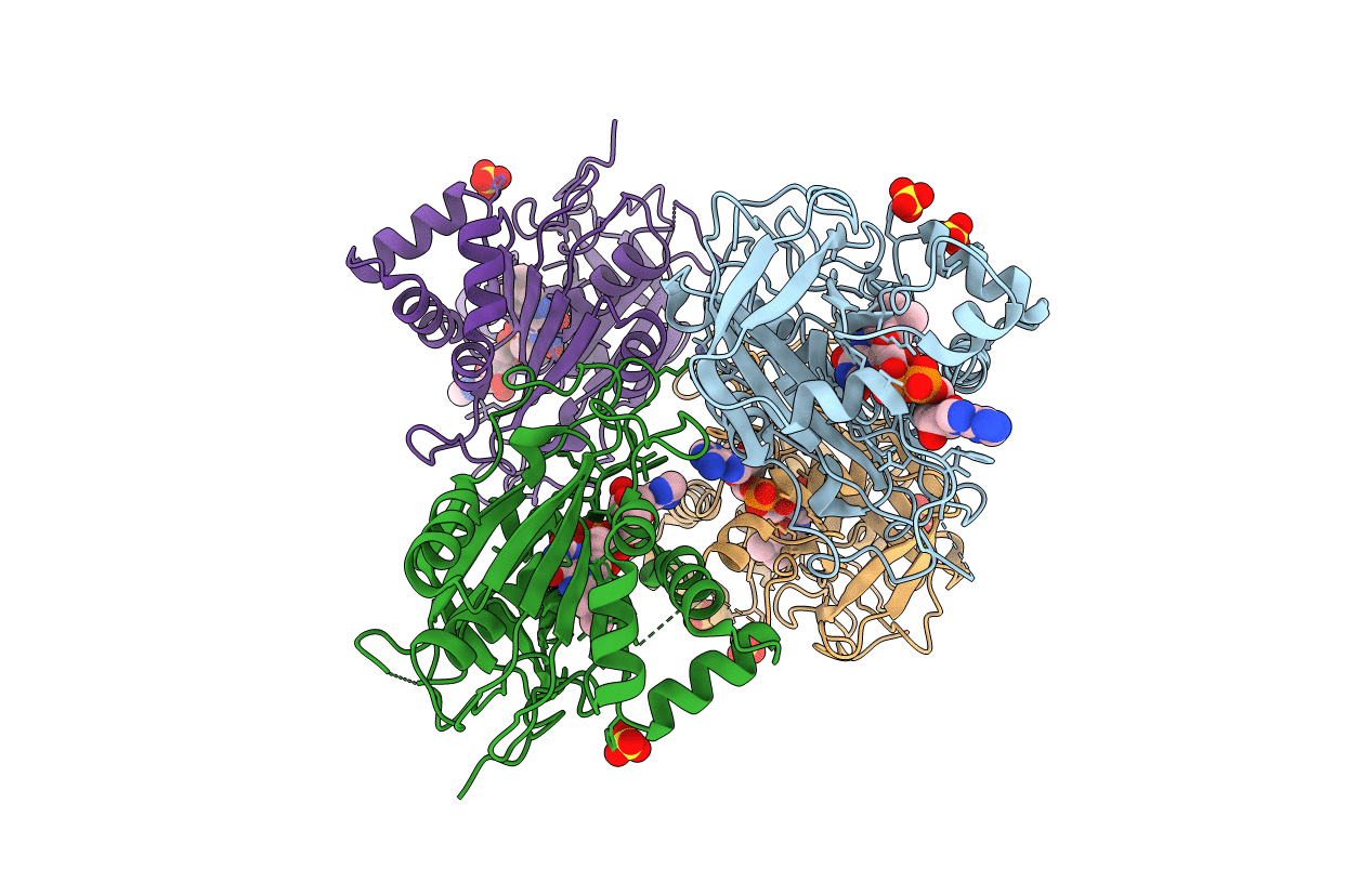 2RC5 image