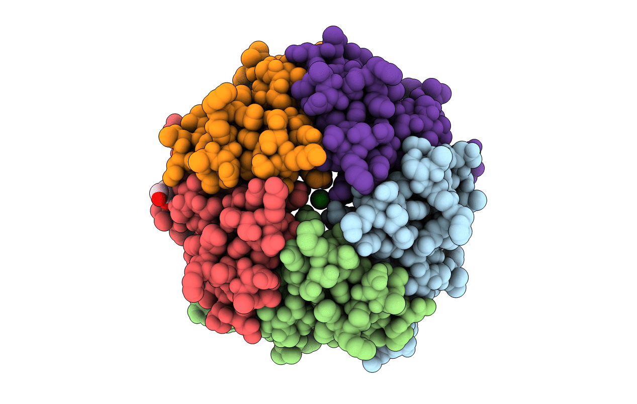 2RCF image